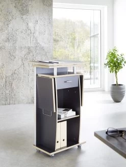 Stabureau Fides - Antraciet -Collectie Slaapkamermeubels 0469 58 pe dek b 4b0b