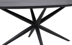 Eettafel Luzern 180x100cm Acaciahout - Zwart -Collectie Slaapkamermeubels OVTSE180BL AN CLEG13065 HSM127 3 a139